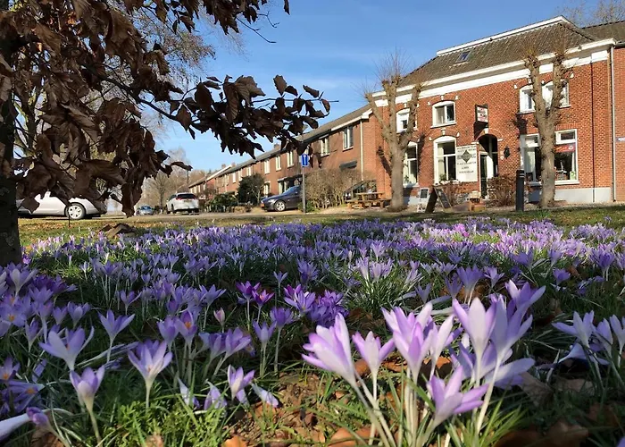 Apartman Halte Bontebrug *